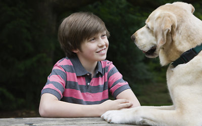 Cães e humanos